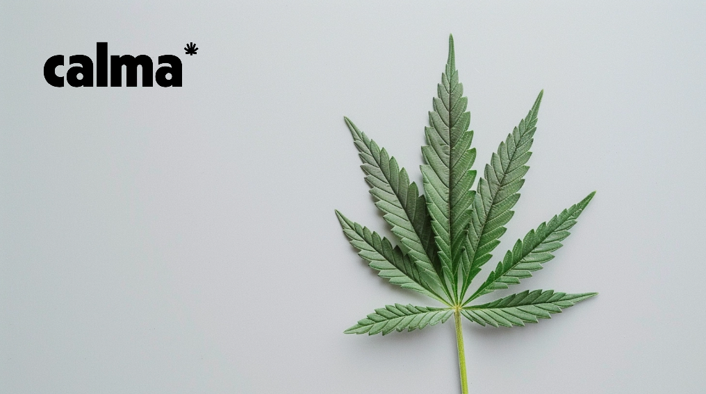 CBD, THC & HHC